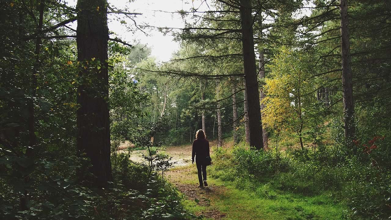 Femme dans une forêt