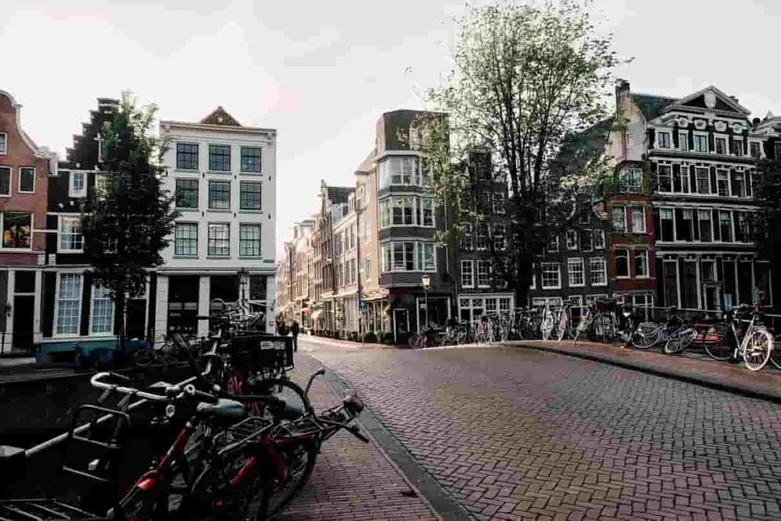 ¿Es fácil para un extranjero conseguir trabajo en los Países Bajos?